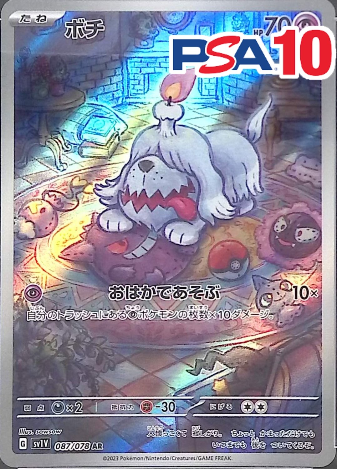ボチ PSA10