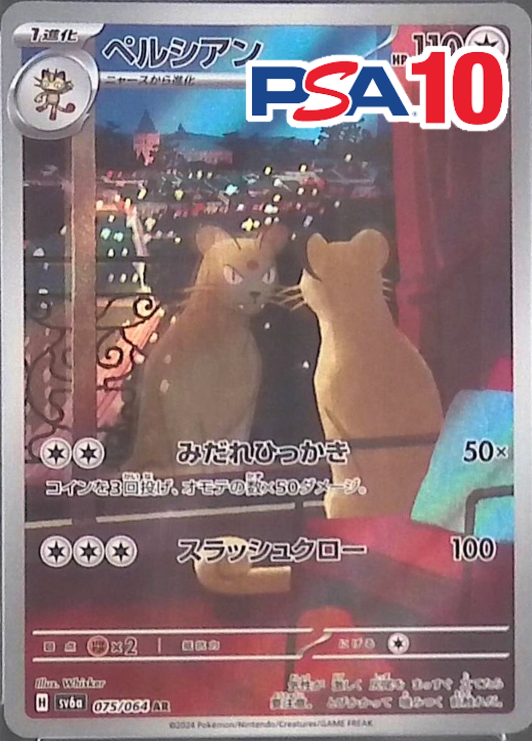 ペルシアン PSA10