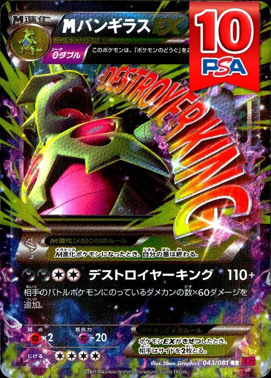043/081/XY7/RR/1ED MバンギラスEX PSA10